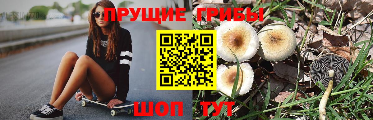 Рязань  Галлюциногенные грибы Magic Shrooms  Вход с VPN 